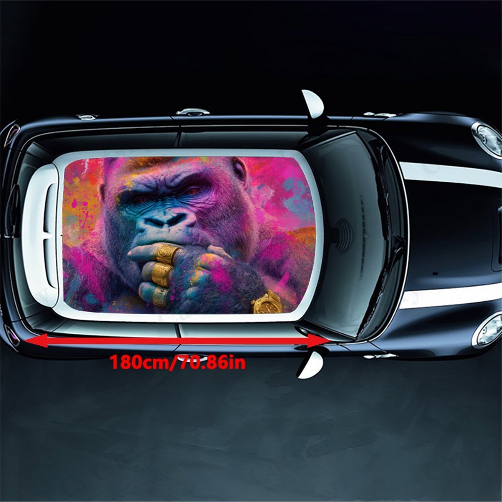 Autocollant de toit de voiture - Street Fashion Pose avis et prix