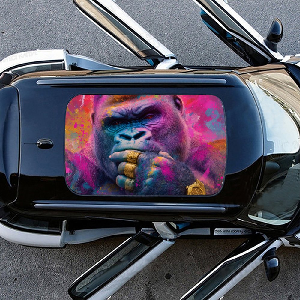 Autocollant de toit de voiture - Street Fashion Pose avis et prix